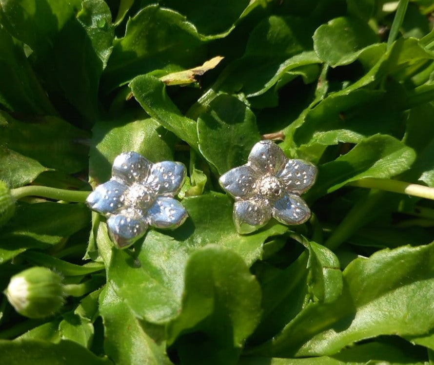 Fiore d'Argento