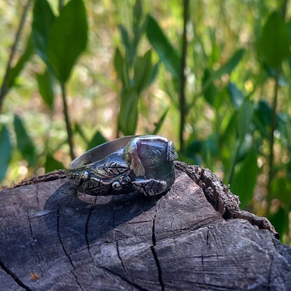 Sylva - Tormalina bicolor
