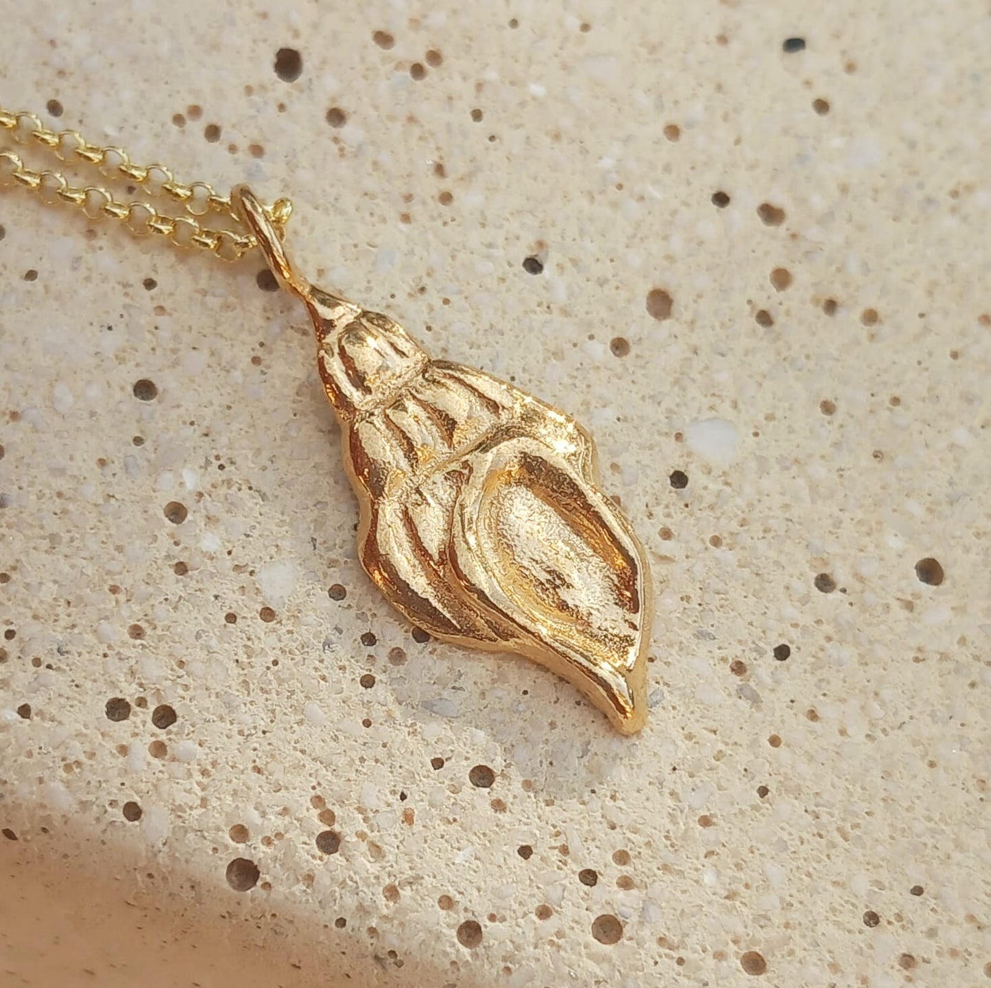 Conchylia (oro)